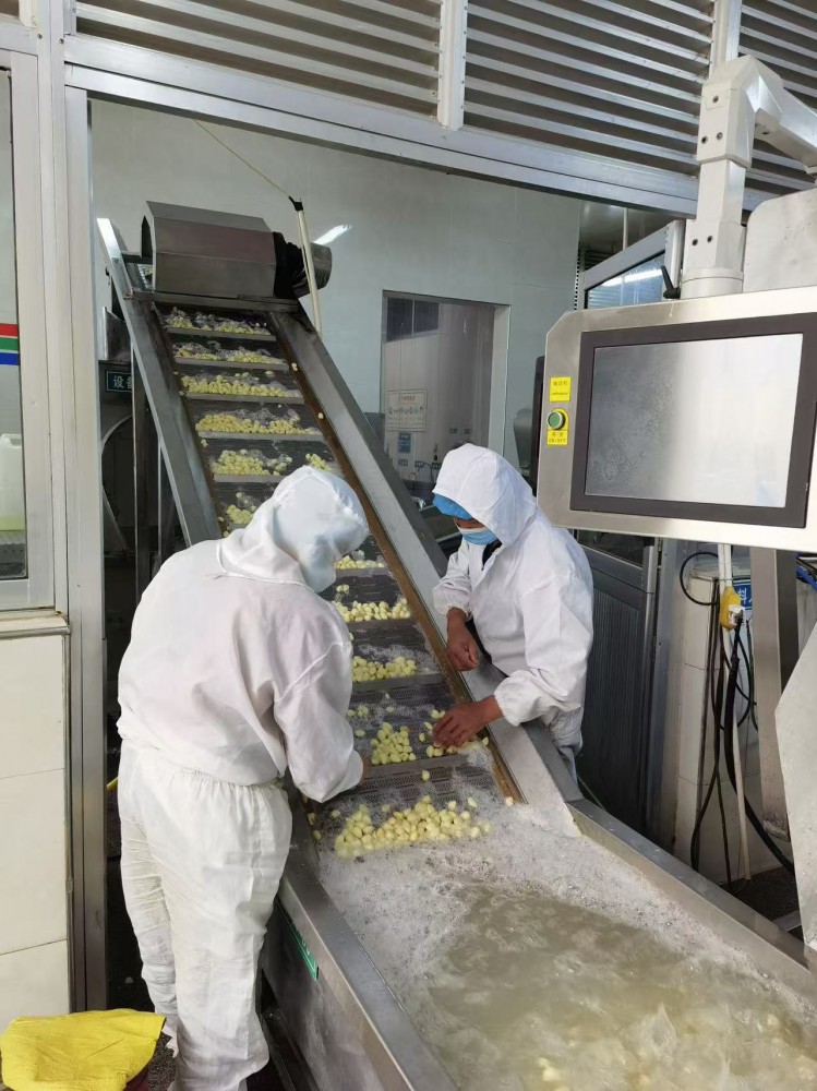 濟(jì)南脫水蒜片