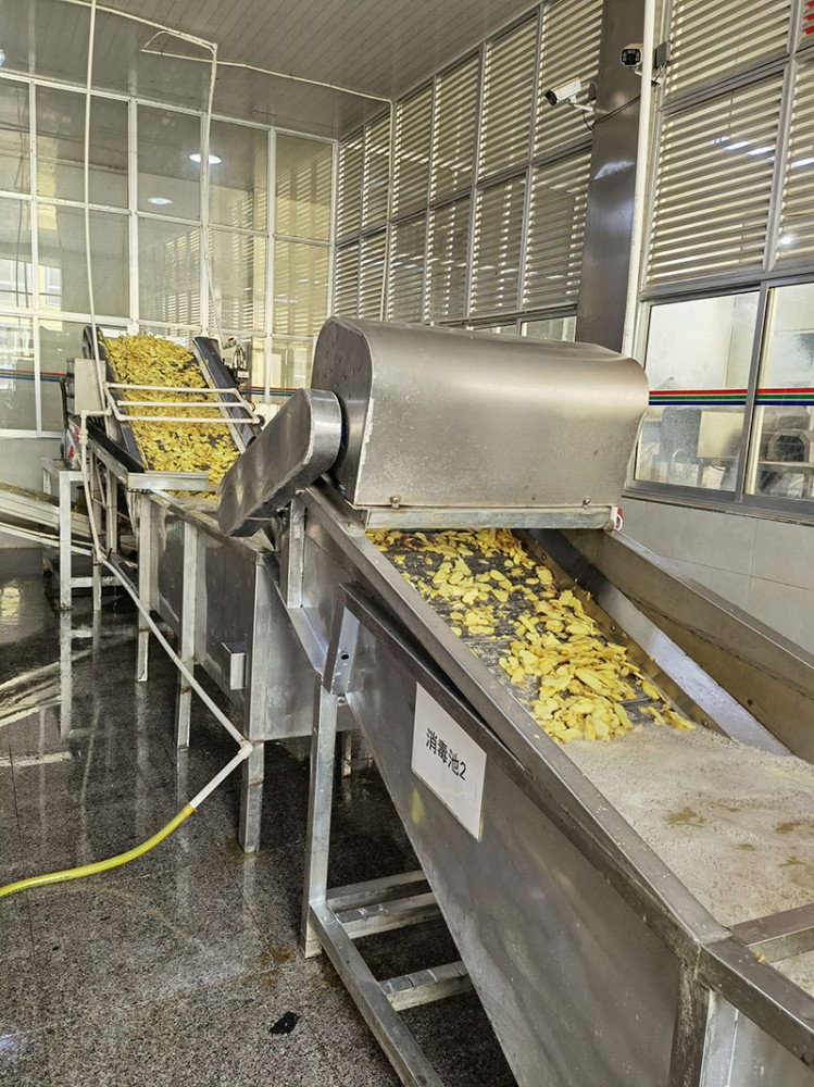 青島脫水姜片系列2