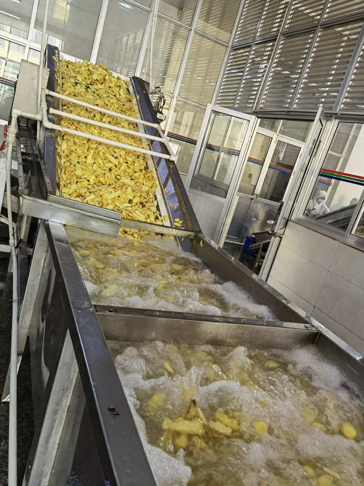 青島脫水姜片系列3