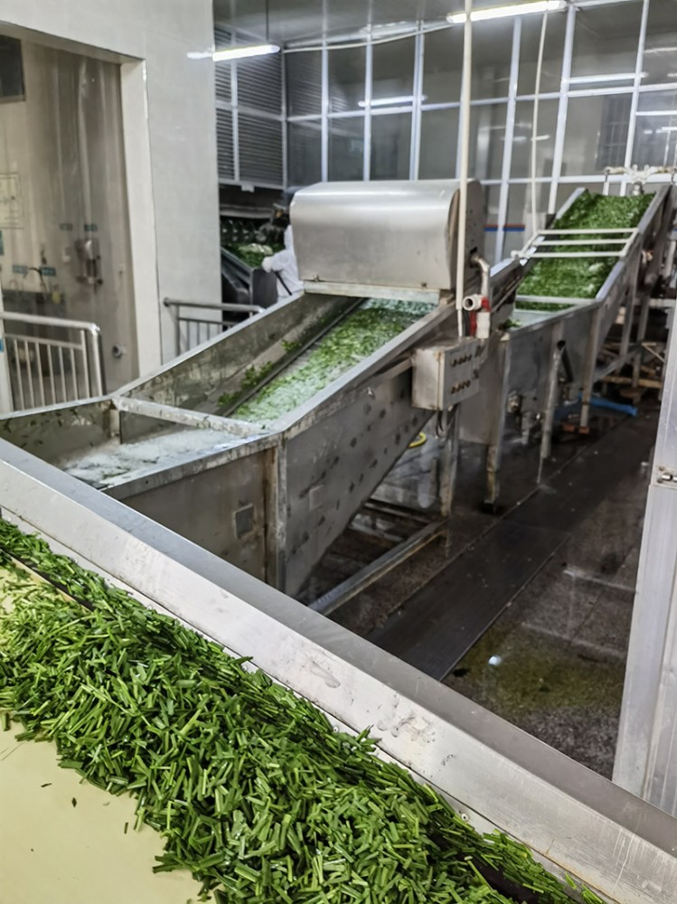 濰坊脫水韭菜系列4