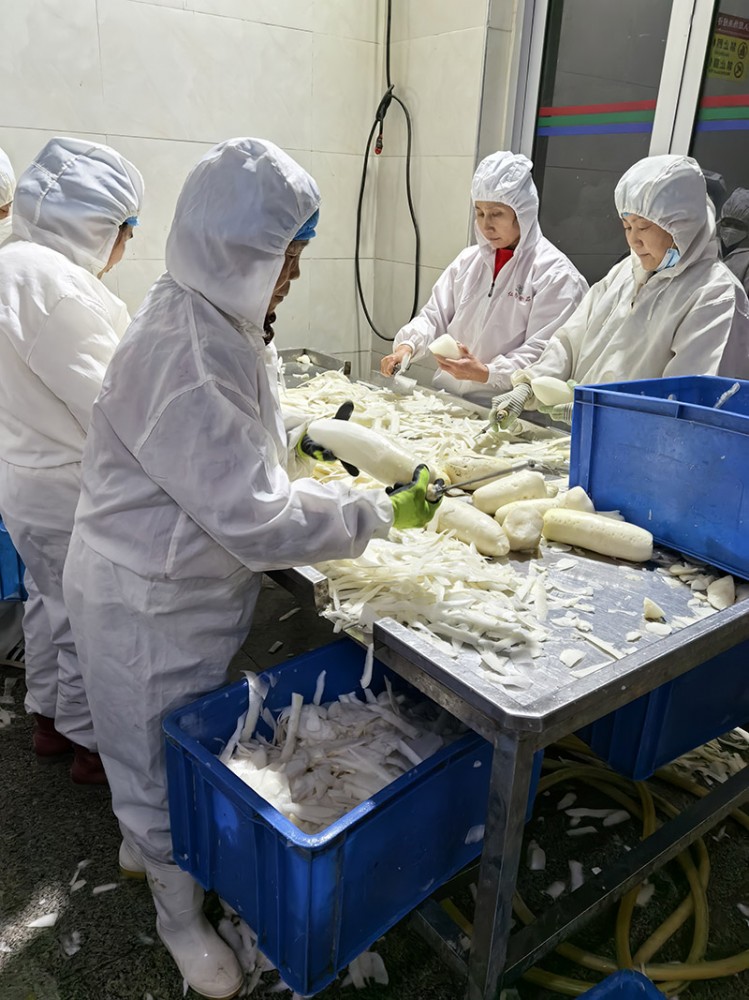 濰坊脫水蘿卜系列3