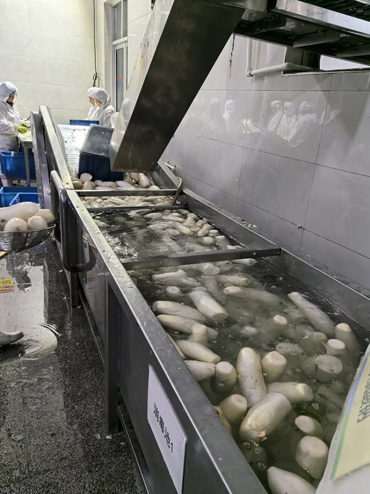 濰坊脫水蘿卜系列4