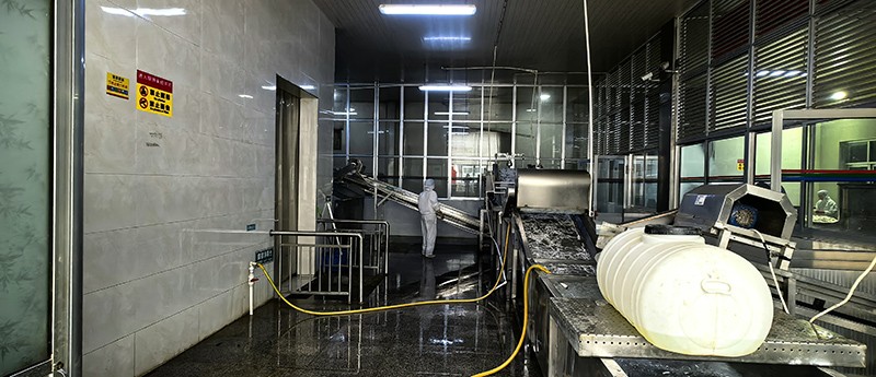 濰坊脫水蘿卜系列7