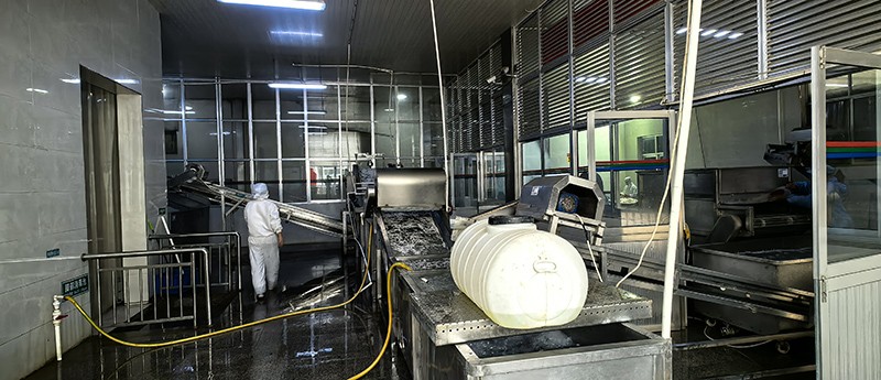 濰坊脫水蘿卜系列8