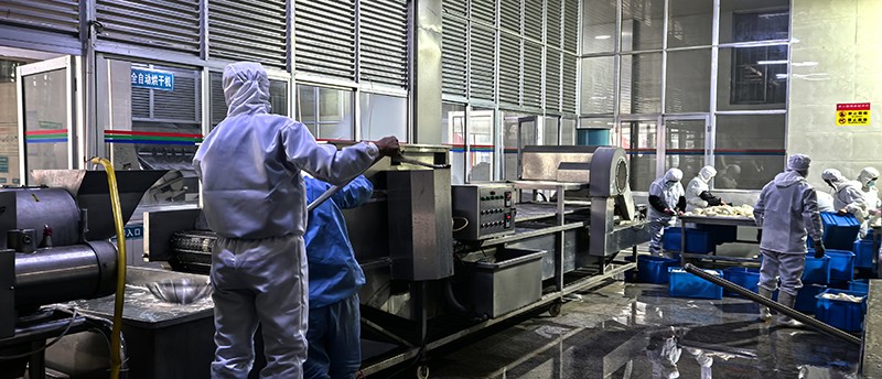 濰坊脫水蘿卜系列9