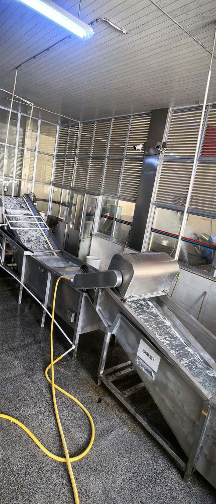 濰坊脫水蘿卜系列11