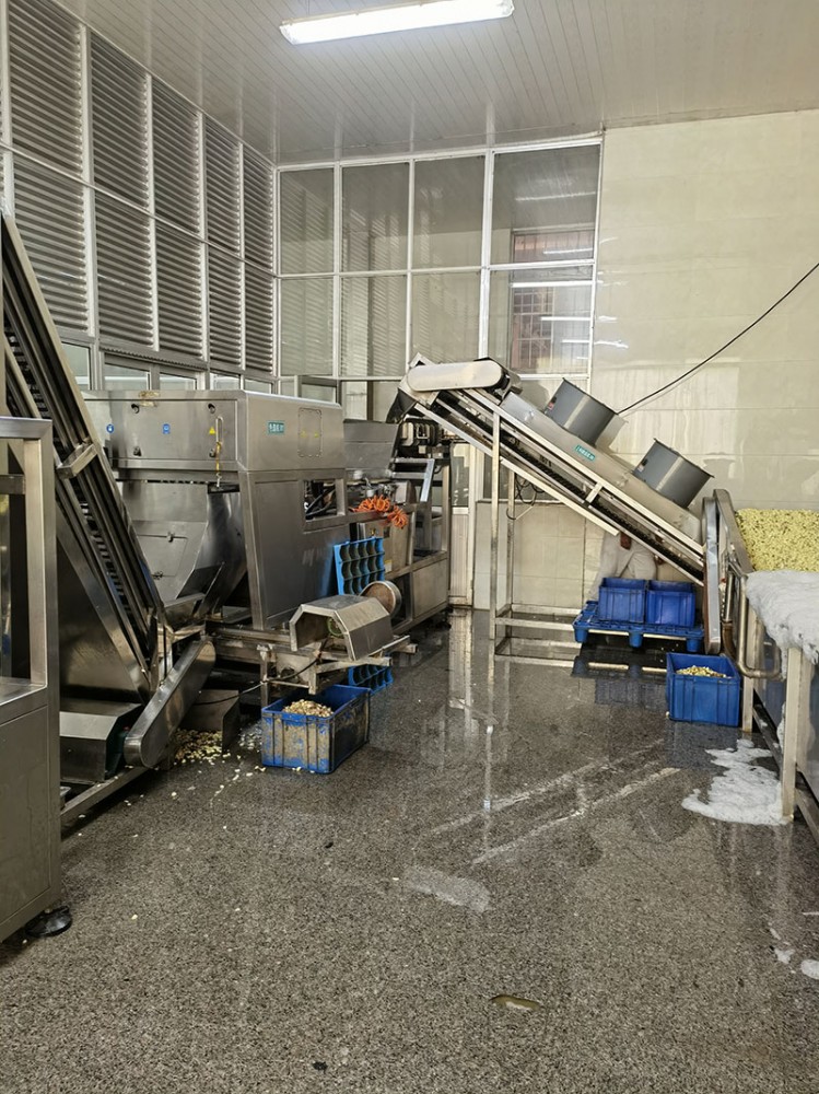 濟(jì)南脫水蒜片系列供應(yīng)