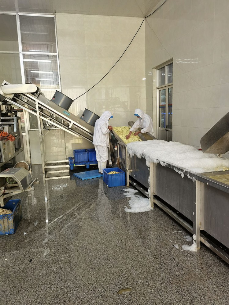 濟(jì)南脫水蒜片系列1