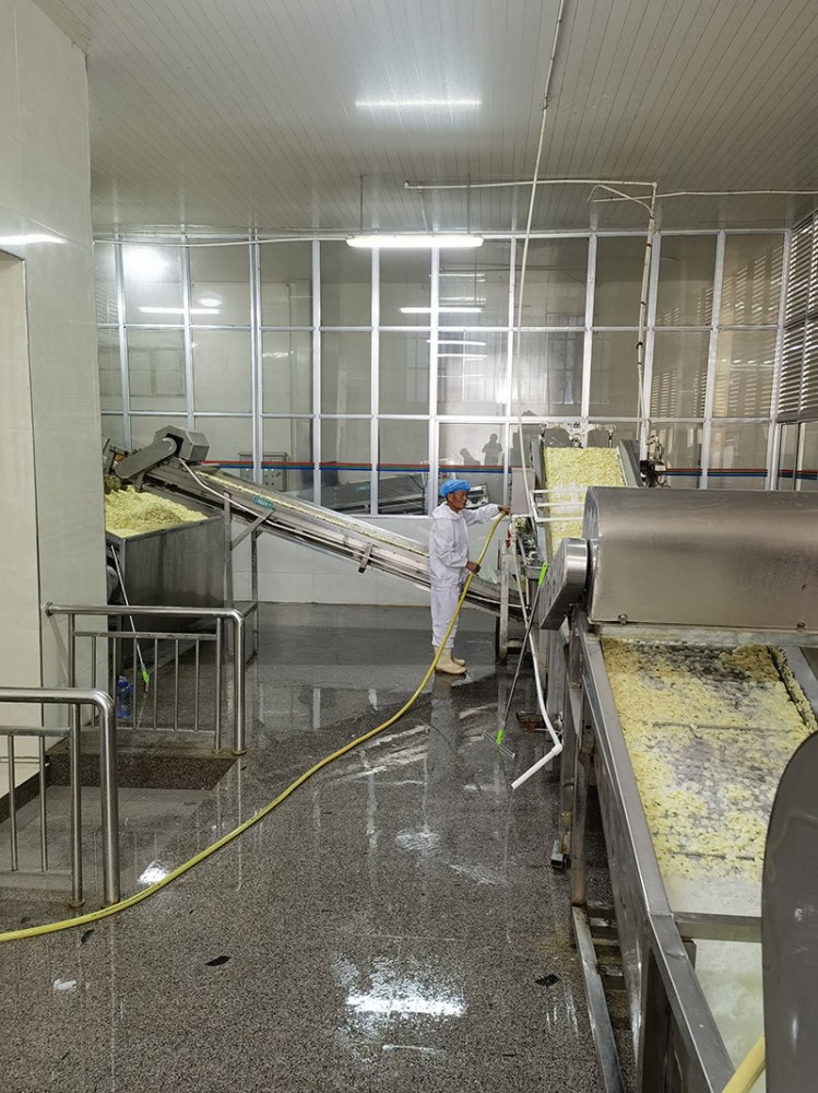 濟(jì)南脫水蒜片系列3