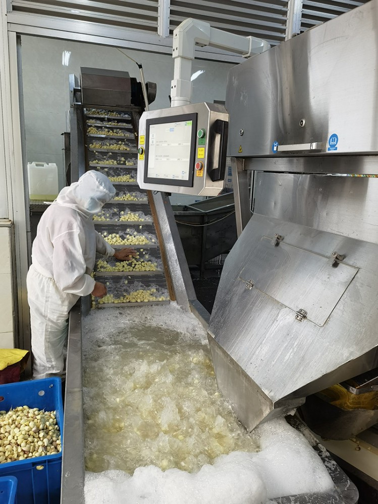 濟(jì)南脫水蒜片系列4