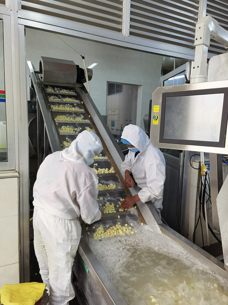 濟(jì)南脫水蒜片系列5